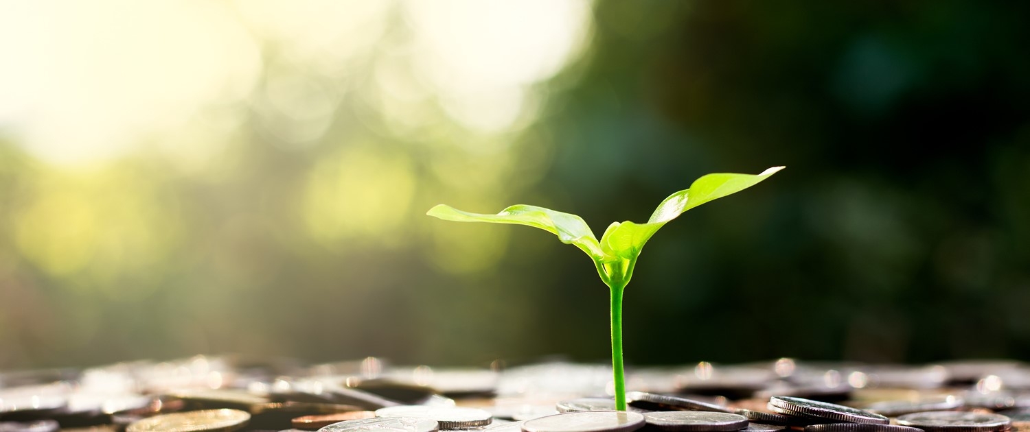 Eine Pflanzen knospe die aus einen Haufen Kleingeld Wächst. (Header Haushalt)