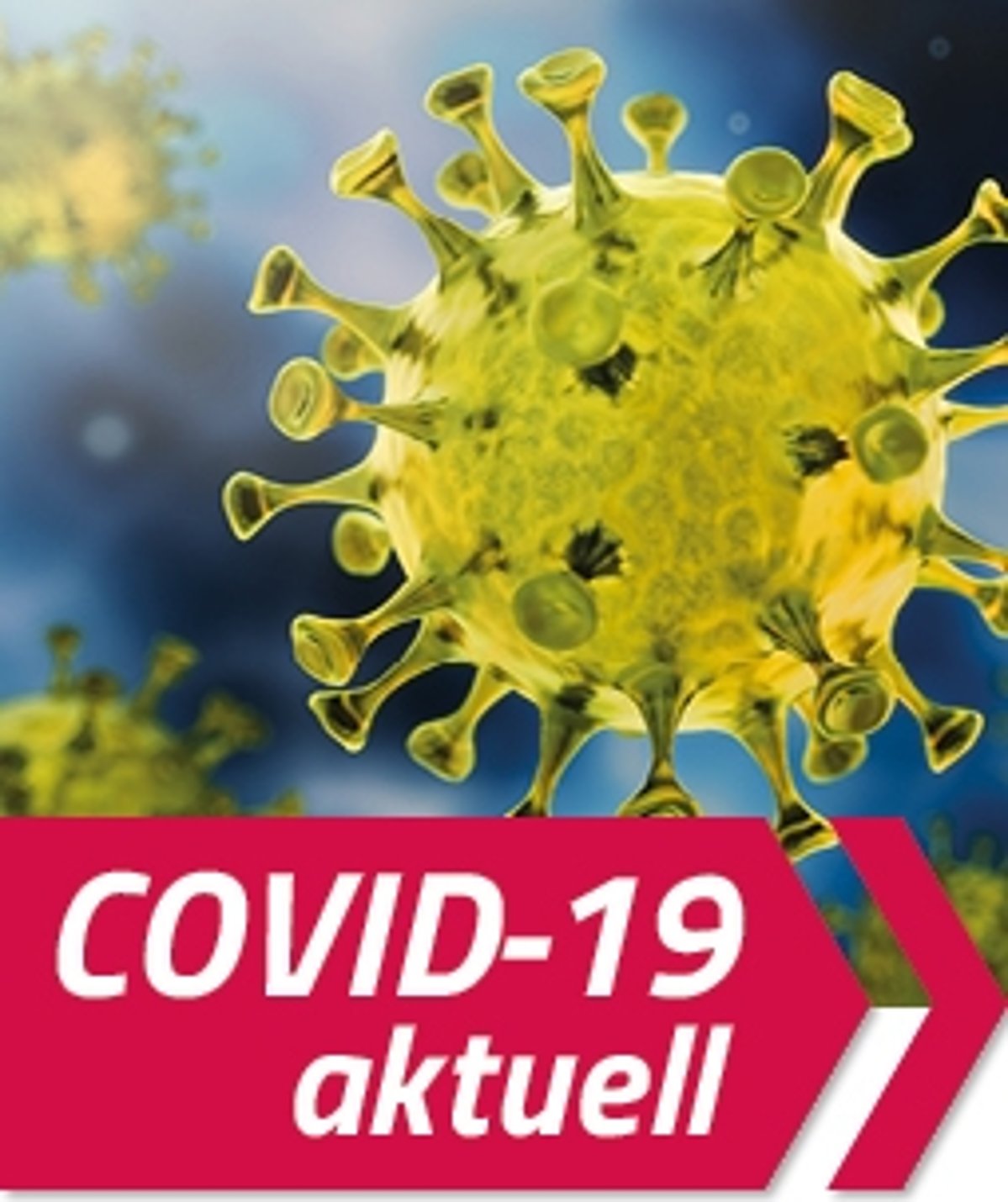Darstellung des Covid-19 Virus 