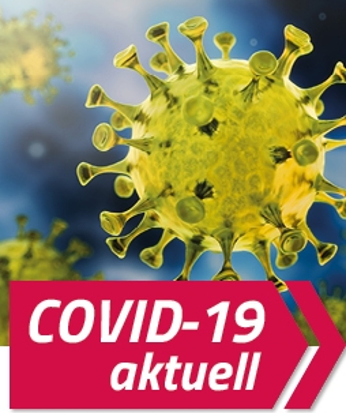 Darstellung des Covid-19 Virus 