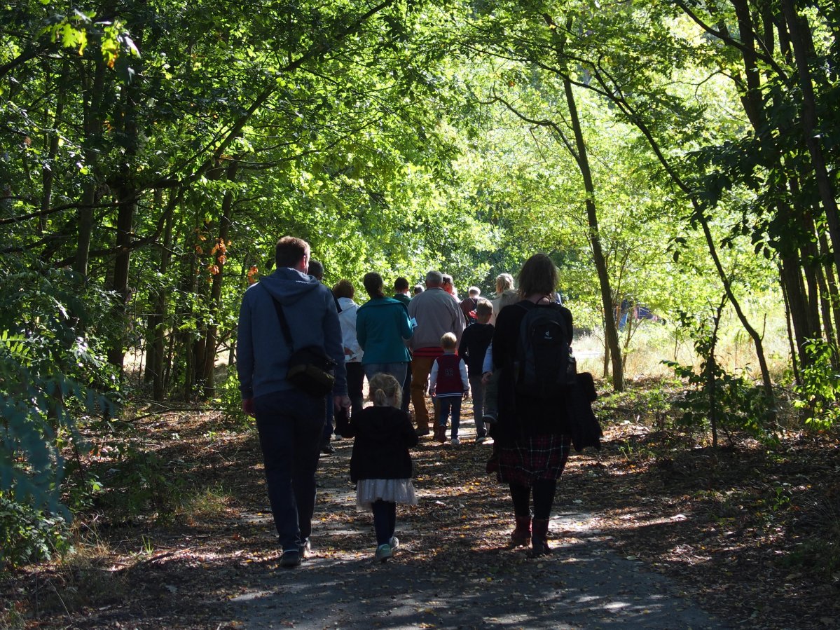 Größere Gruppe von Menschen unterschiedlichen Alters geht im Wald spazieren