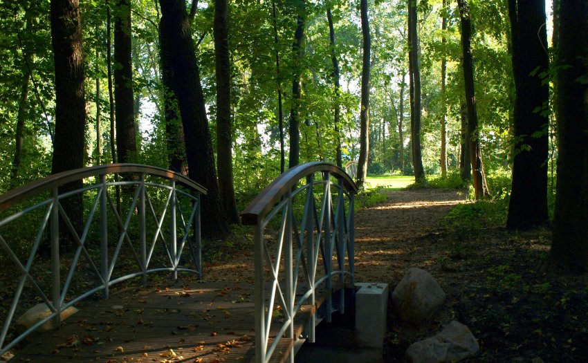 Ansicht des Gutsparks Dahlewitz, im Vordergrund eine kleine Holzbrücke umgeben von Bäumen.