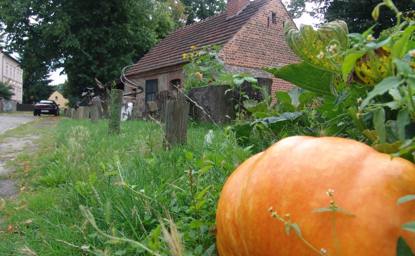 Ein kleineres Steinhaus (Dorfschmiede von Blankenfelde).