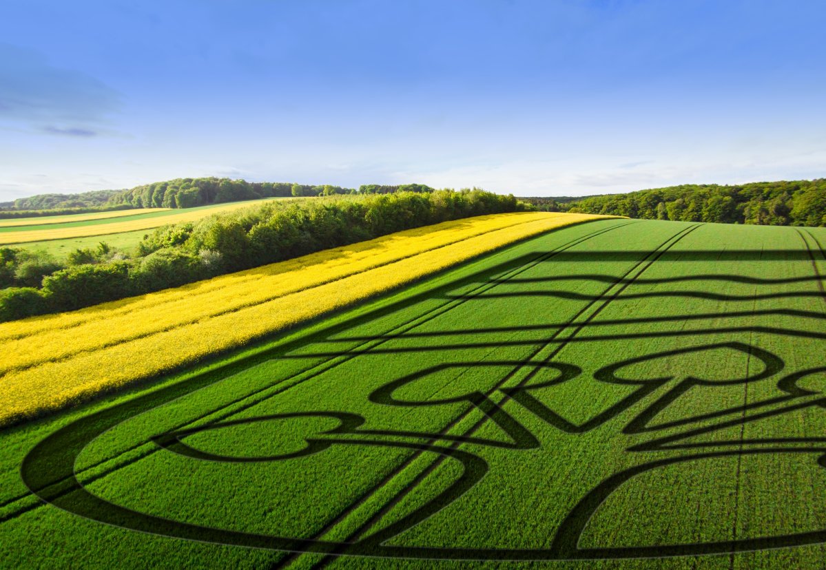 Luftbild - Groß Grün auf Feld Luftbild - Groß Grün auf Feld